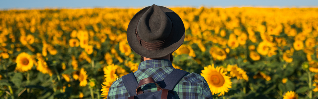 Man standing in a Sun Flower field