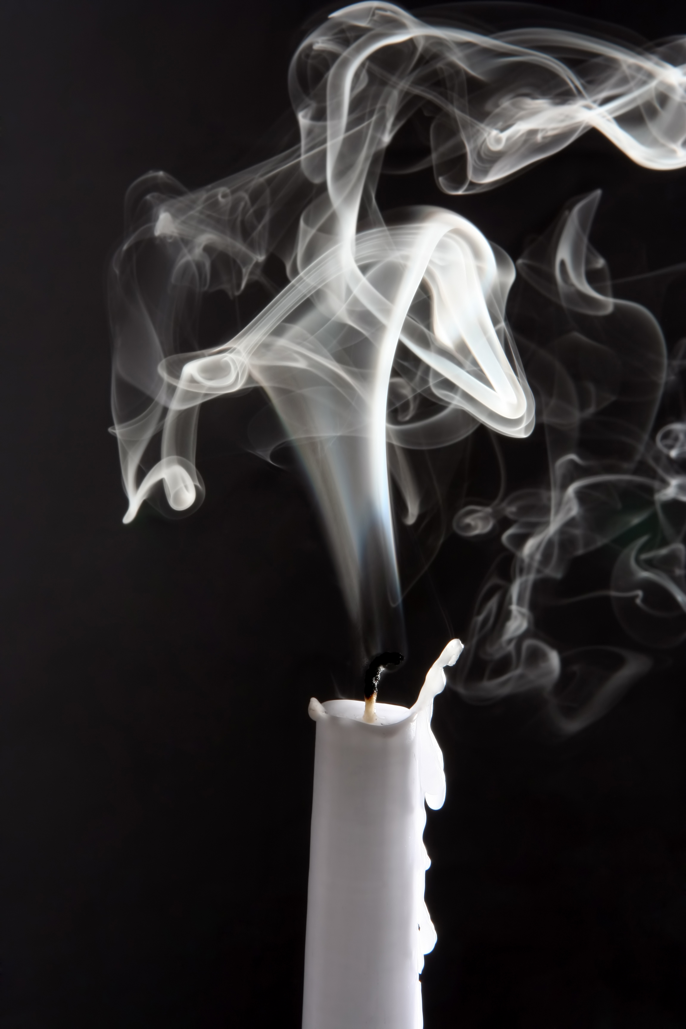 how long for cigarette burn to heal Figure 7 from Cigarette burns in forensic medicine