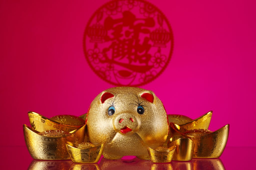 chinese golden pig