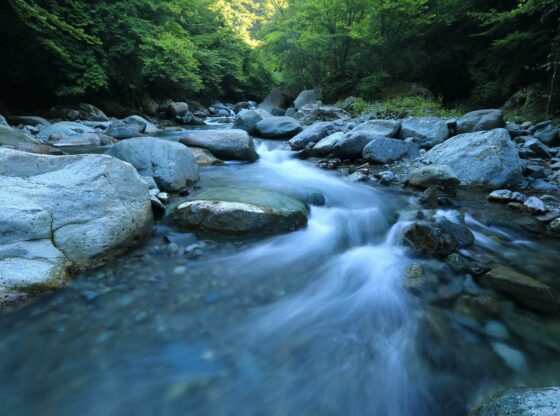 What Does It Mean To Dream Of Flood Keen Articles