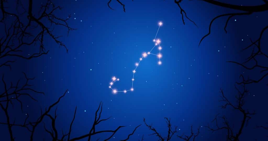 Constellation of Scorpio zodiac sign surrounded by tree branches in dark blue sky.