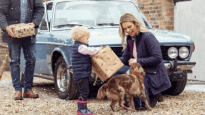 Your Holiday Survival Guide for Zodiac Sign Horoscopes Astrology 2025