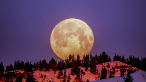 Your Gemini Full Moon Horoscope